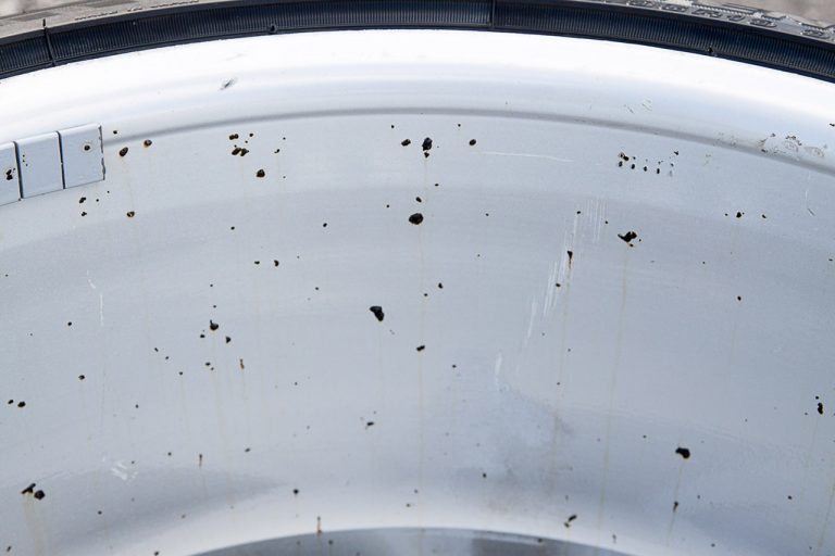 Connaître les taches sur sa carrosserie Perfect